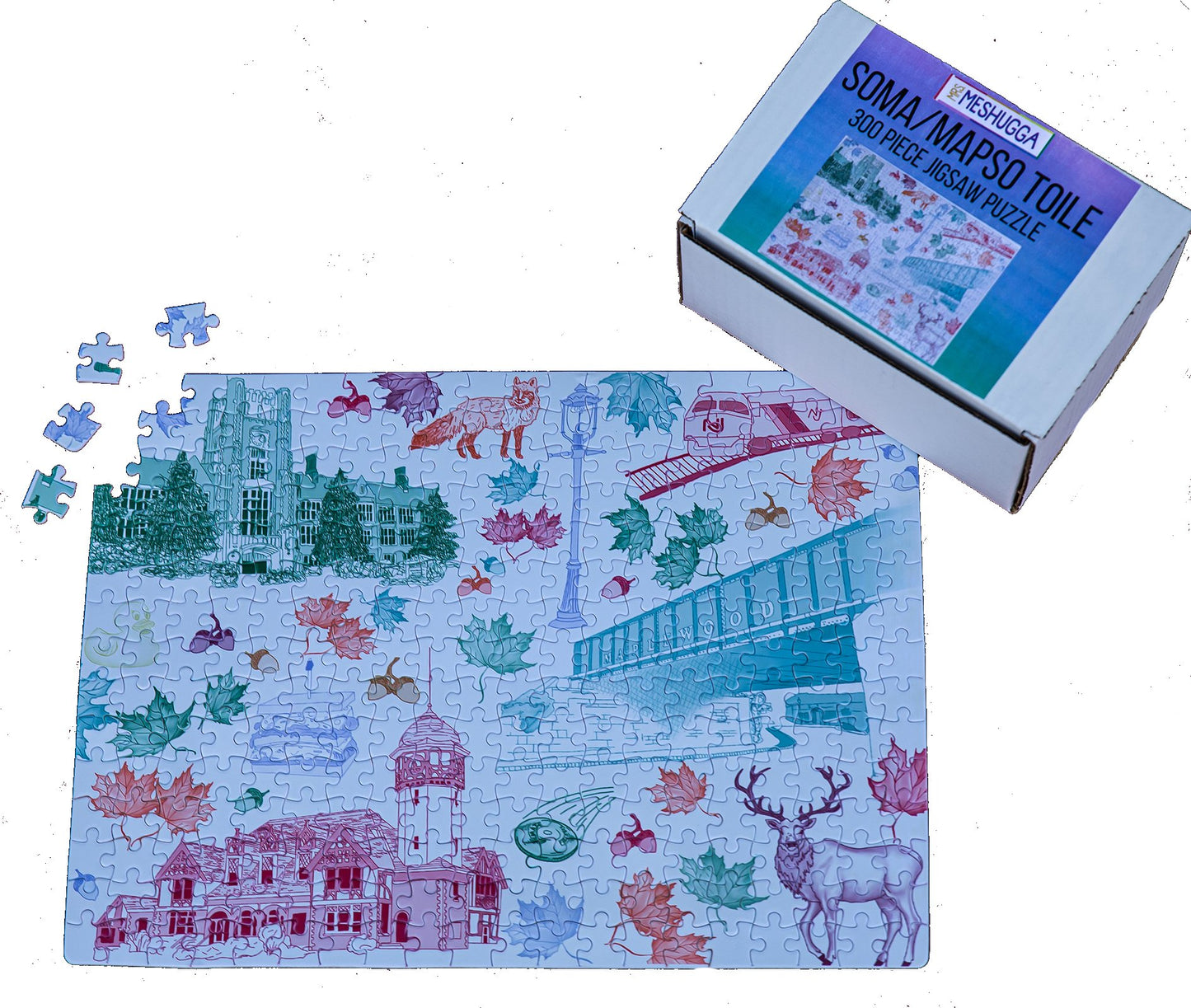 SOMA/MapSO Toile 300 Piece Puzzle