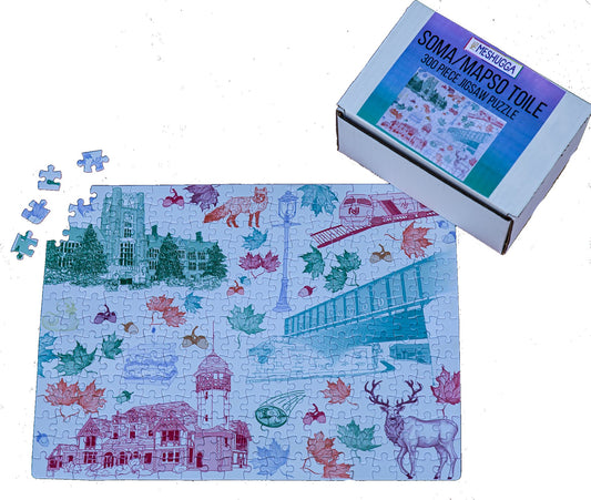 SOMA/MapSO Toile 300 Piece Puzzle | Jersey Proud